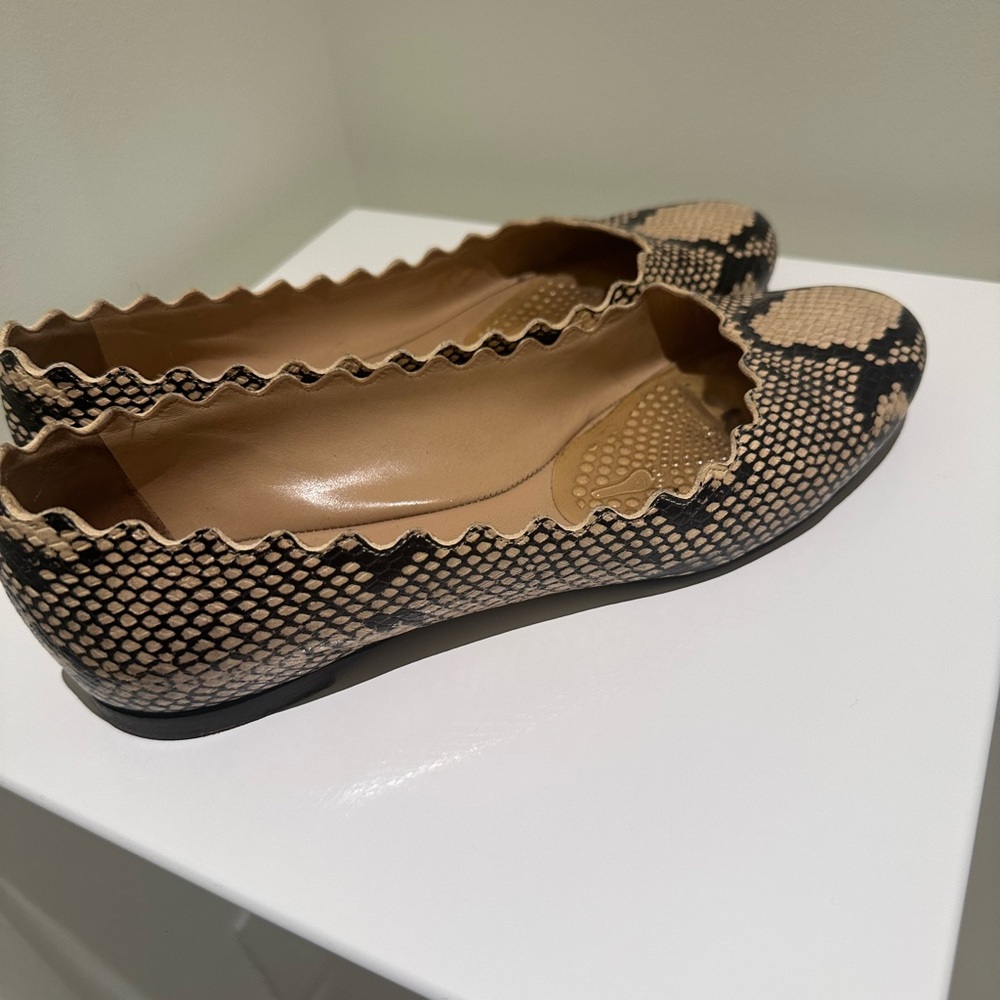 Chloe Scalloped Snake Print Flats in Black and Cream